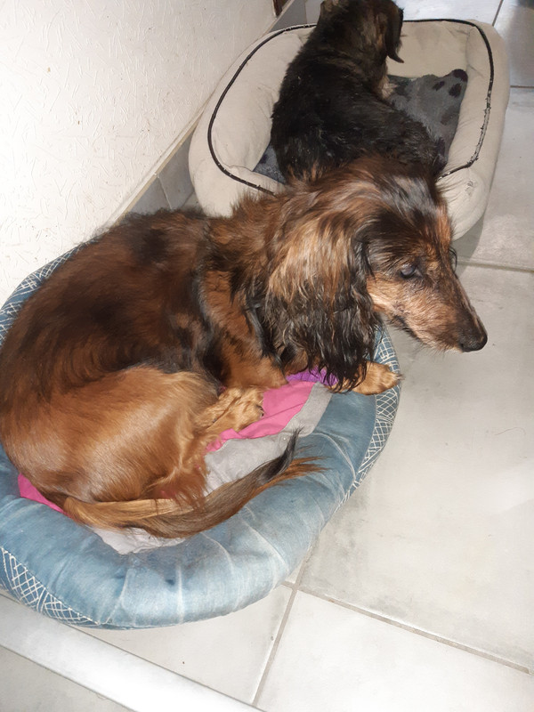 [Image: 20201022-164657.jpg]