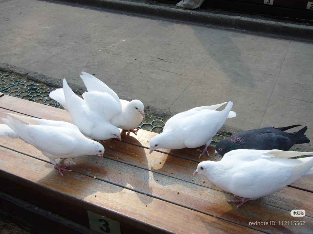 photo 17 2025 12 24 16 00 33