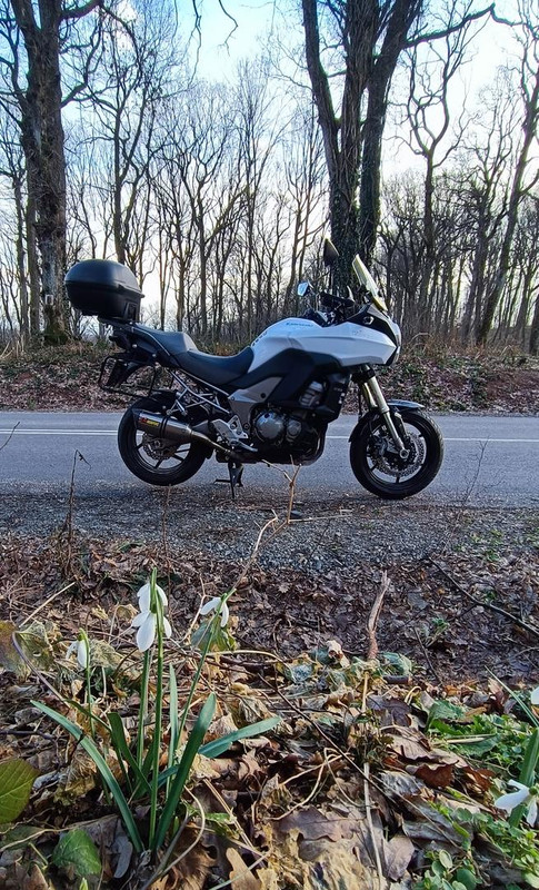 IMG-b5feab1c0bec8ba455660ddbdae9a556-V.j