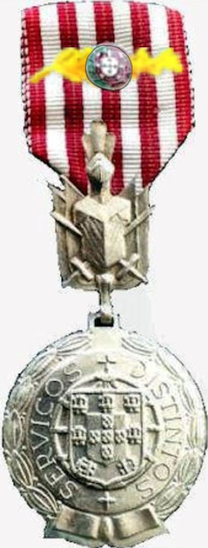 Medalha de Prata de Serviços Distintos com palma
