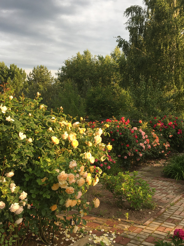 7EAF435C-1513-4FB7-A1E6-F29921A1C498