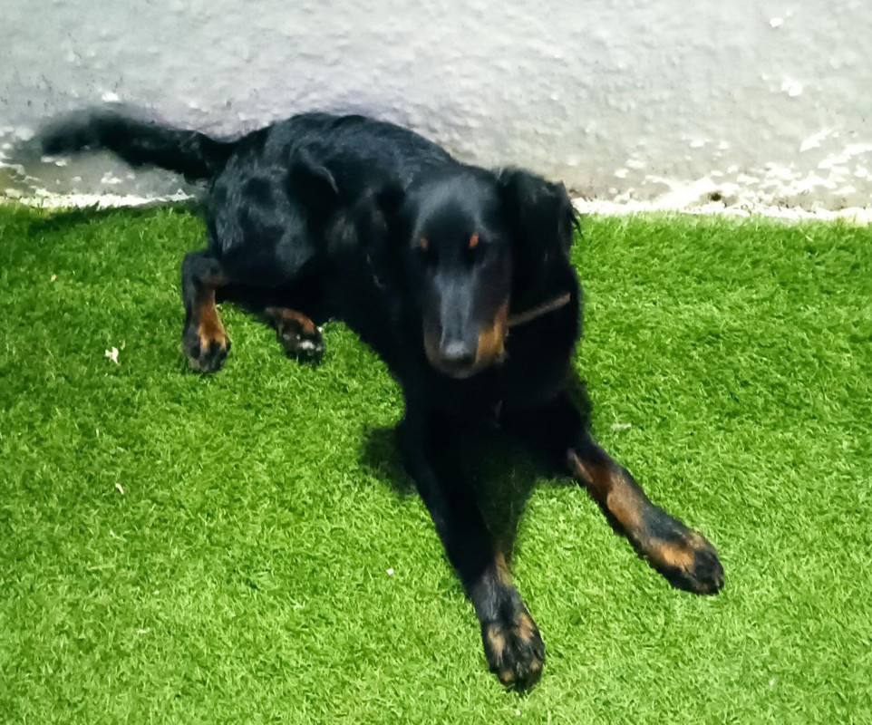 photo_2023-03-24_08-06-54 (2)