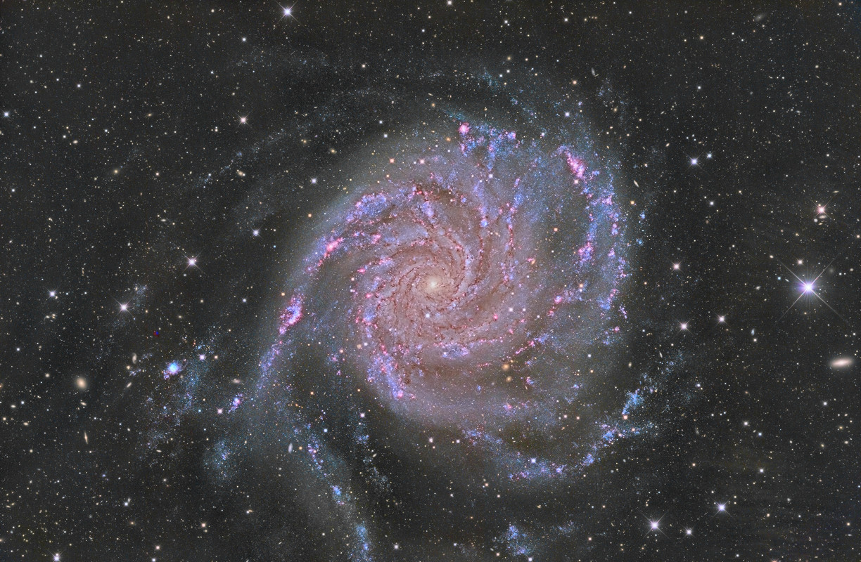 M101-NORMALE-HARD-ROCK-COULEUR-FLAT-DENO