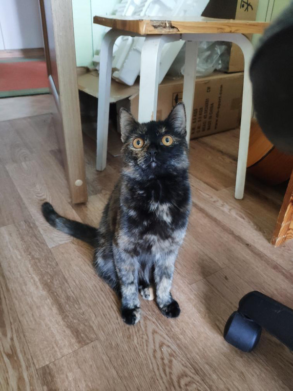 EE6676CF-ABAD-40D9-96DA-09FEBDDFD3EE