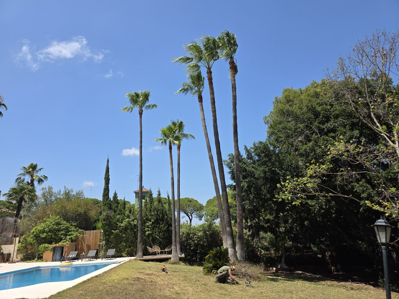 Jardín rehabilitado