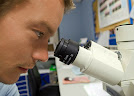 microbial analysis of water