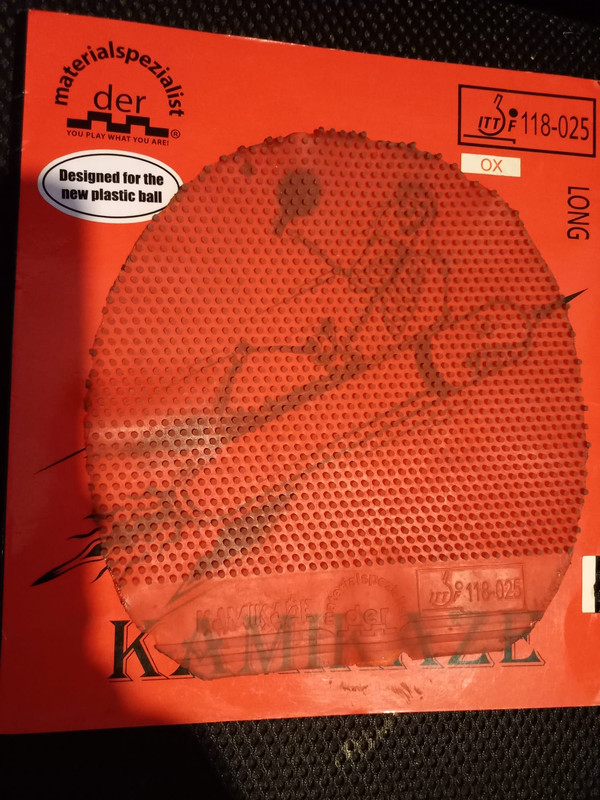 WhatsApp Image 2023-09-23 at 01.07.05(1)