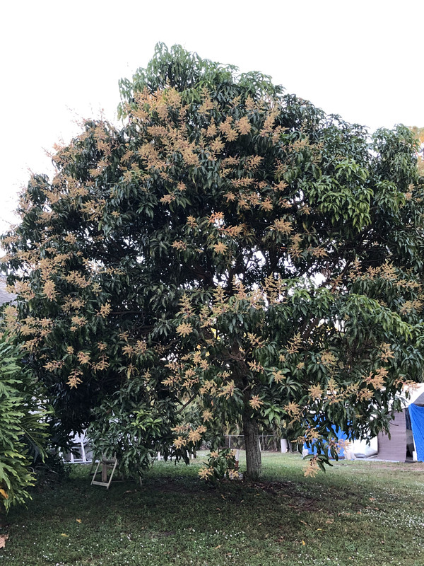 6E2E888A-D578-461E-ADA8-667C48028557