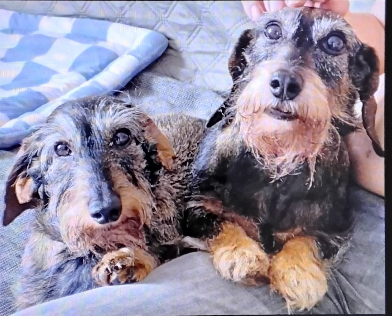 [Image: 20250922-162113.jpg]