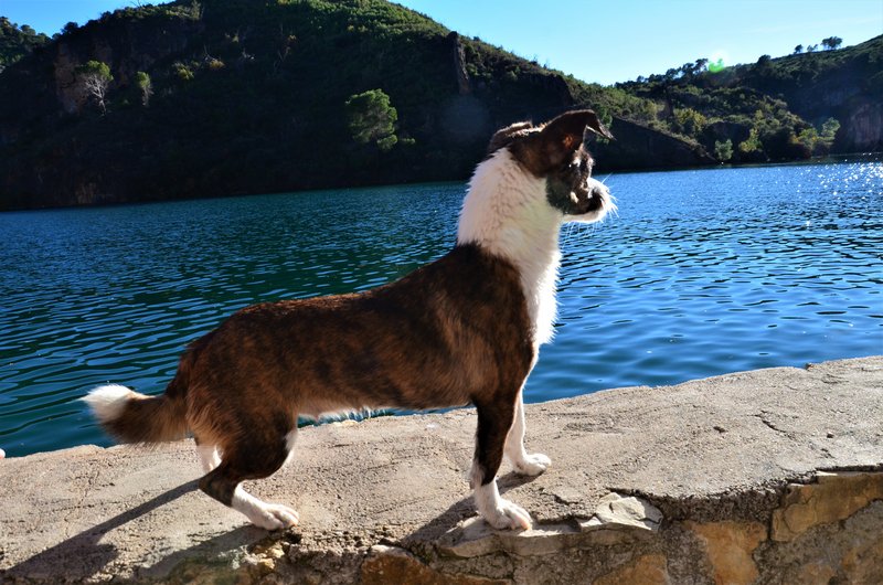 CAÑON DEL RIO GUADIELA-2011/2015-CUENCA - Paseando por España-1991/2016 (45)