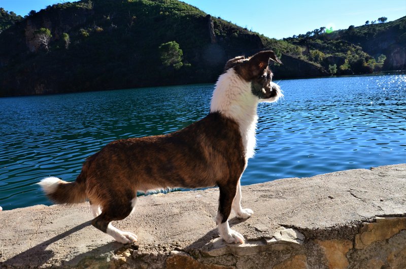 CAÑON DEL RIO GUADIELA-2011/2015-CUENCA - Paseando por España-1991/2024 (45)