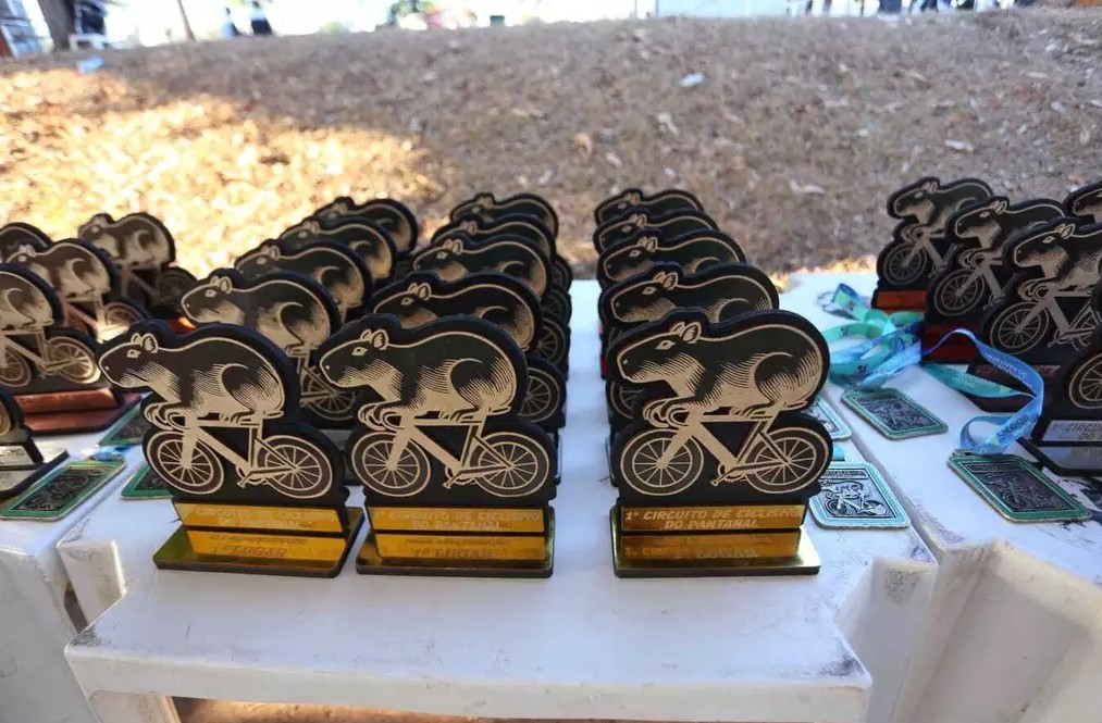 Troféu personalizado oferecido aos participantes (Foto: Paulo Francis) 
