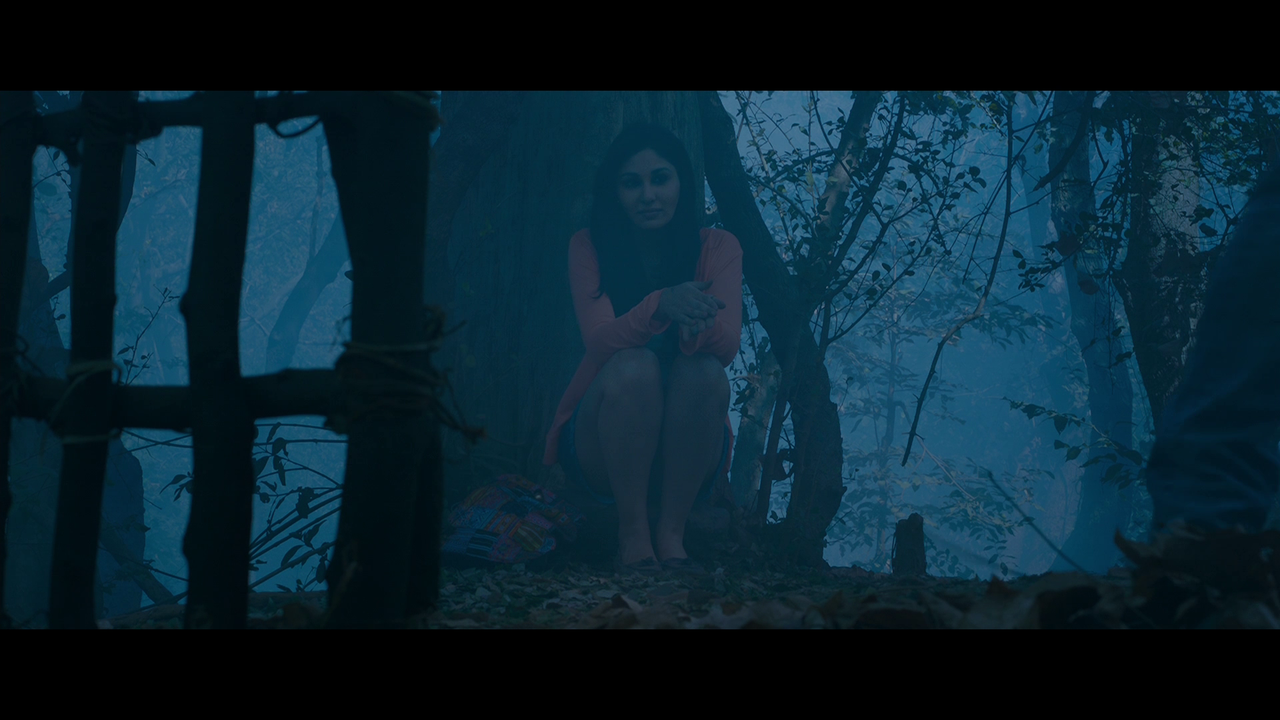 vlcsnap 2026 02 27 19h25m41s999