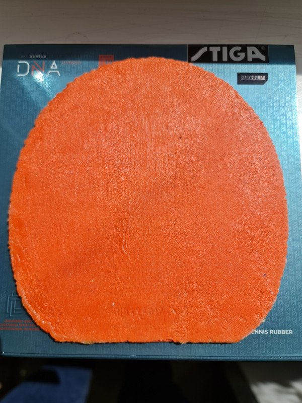 11. BTY TENERGY 64FX 2.1 (5)