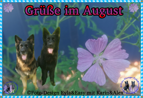 An den Beitrag angehängtes Bild: https://i.postimg.cc/Y9DMFdgH/GB-09-08-24.png