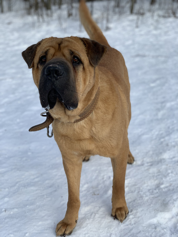 228688AF-0D6F-4C40-9849-C9D04463A93B