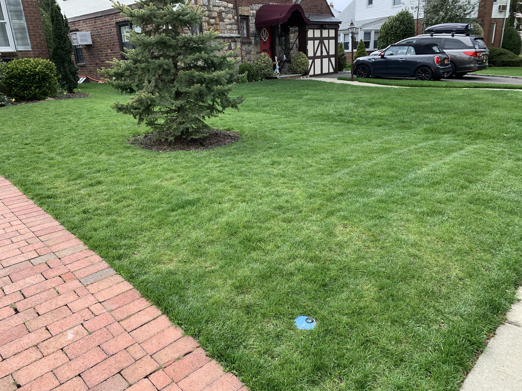 ABAA6A77-3661-46C9-AD03-781F37F74EDE