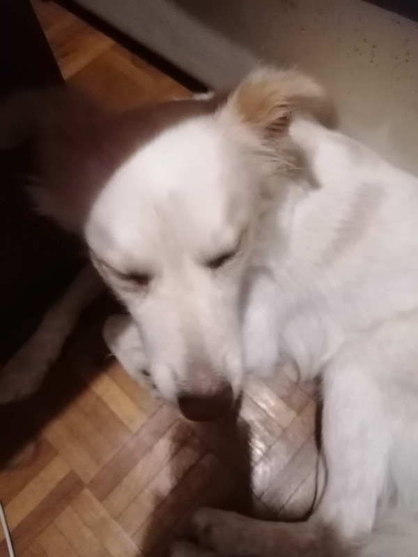 277454217_839284504133140_5792569938979175519_n (2)