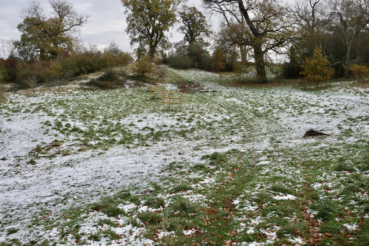 0CD1D43B-6157-496F-9F38-7E574D17500E