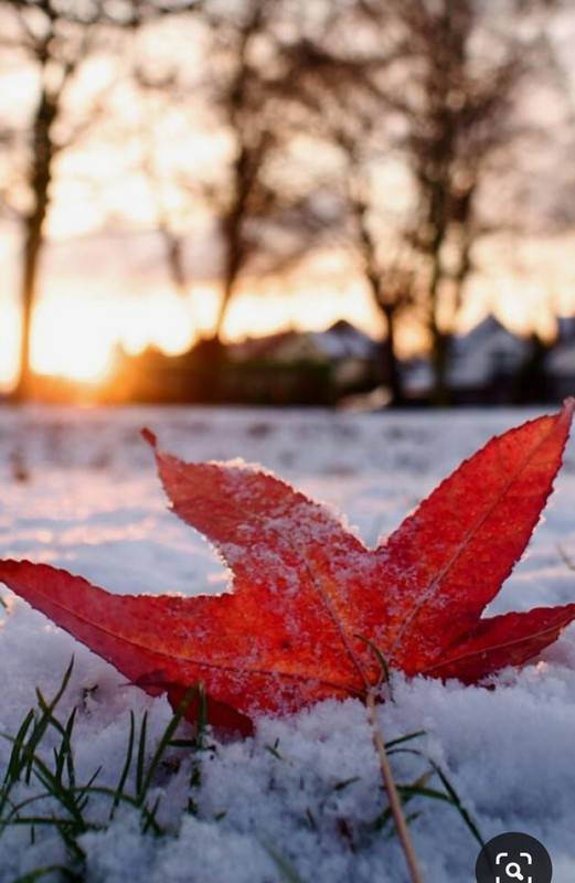 Screenshot_20231101_220732_Pinterest