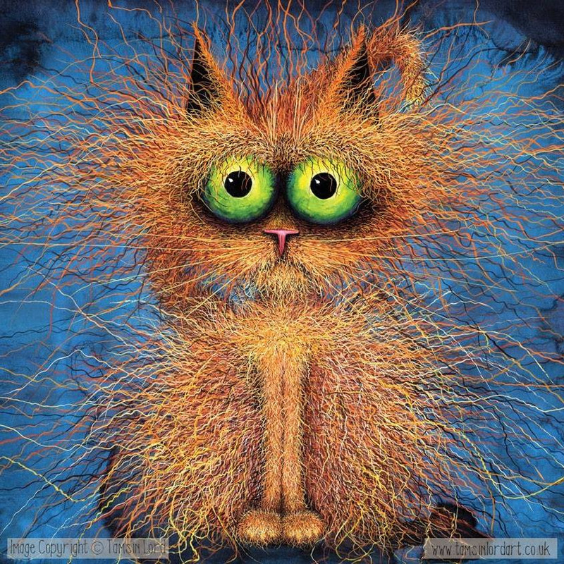 4-159405927-112218120896745-7409218938198600846-n