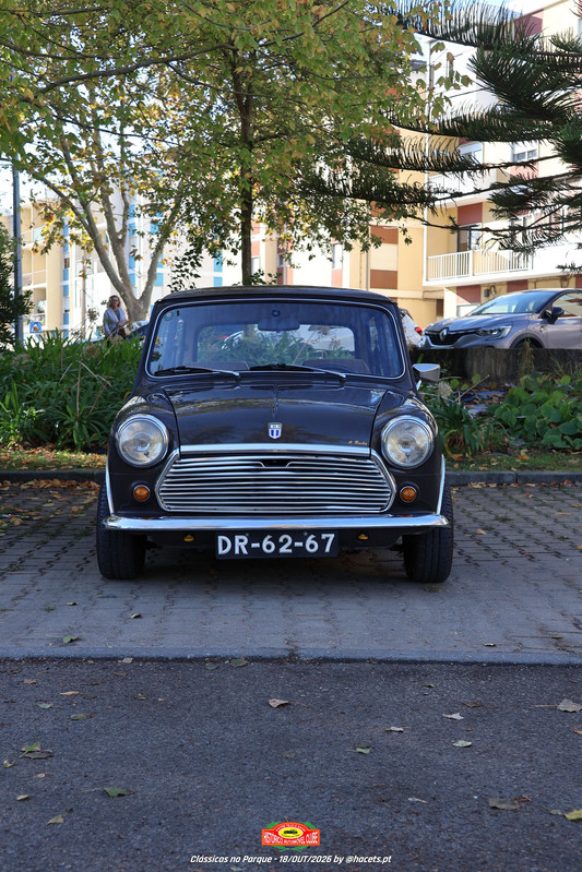 IMG 7345
