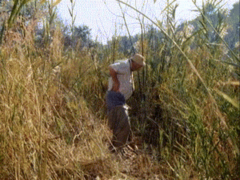 https://i.postimg.cc/Y9FXL0ST/1.gif