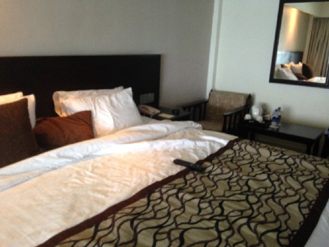 IMG-9850.jpg