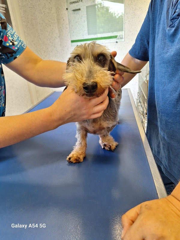 [Image: 20240724-173143.jpg]