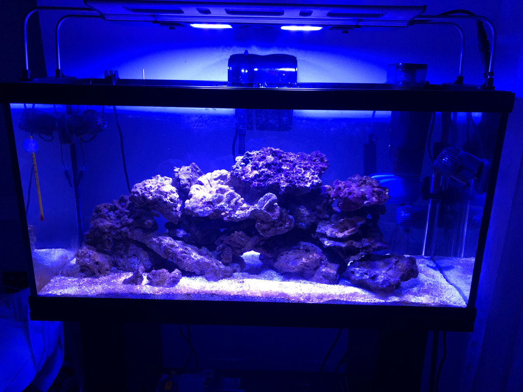 AA904159-6E8E-4835-9BBE-4D719FBFBAAB