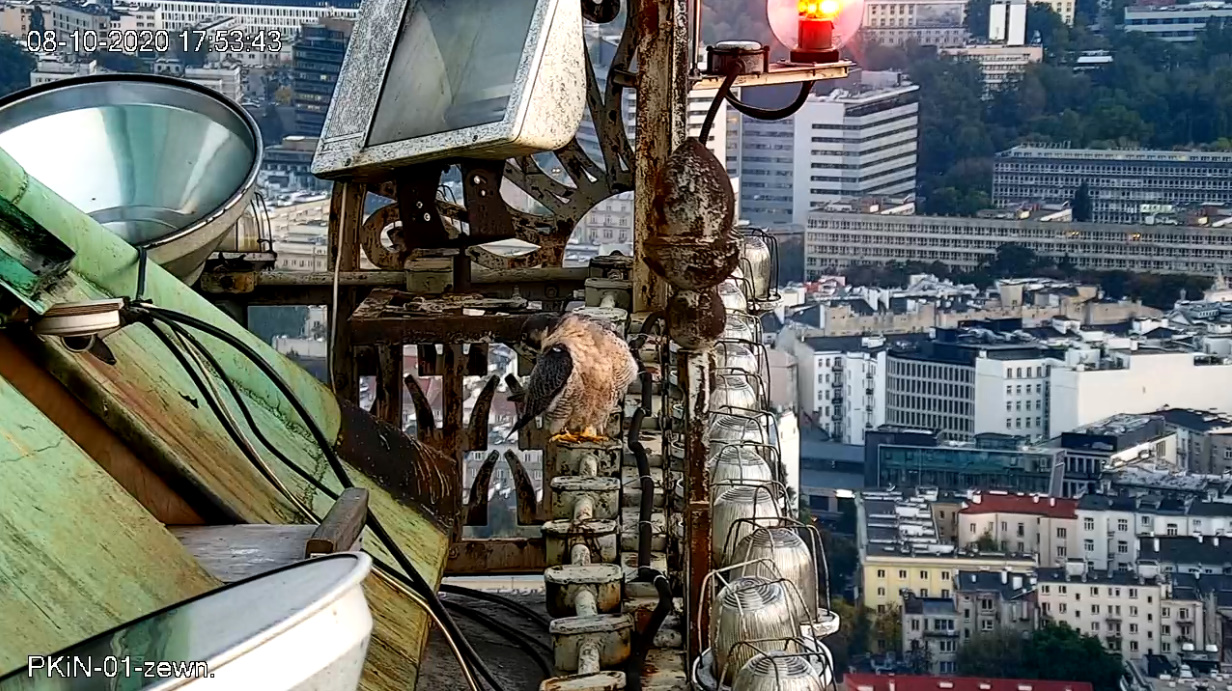 bandicam 2020-10-08 18-52-51-204