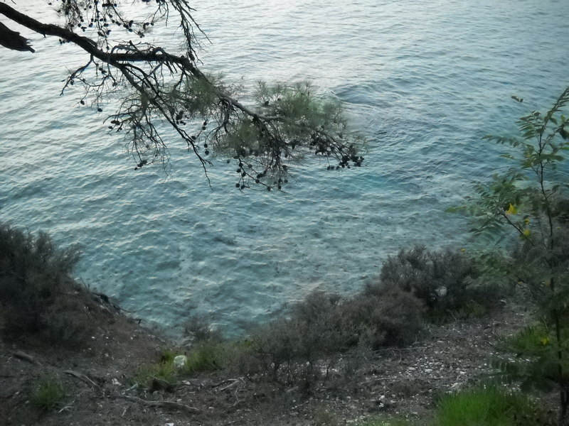 Slika