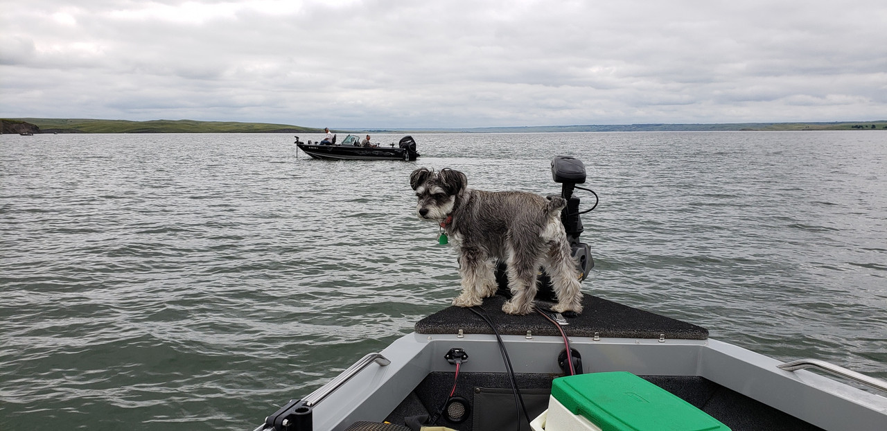Resized_20190803_121239