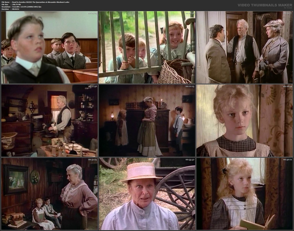Road to Avonlea S01E03 The Quarantine at Alexander Abraham's.mkv
