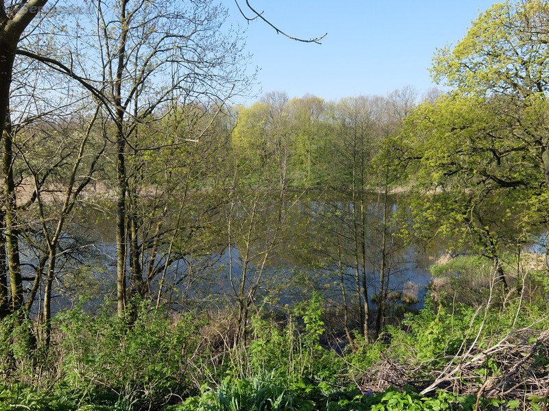 DSCF4330