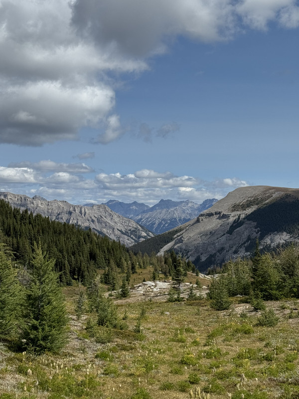 IMG-6683.jpg
