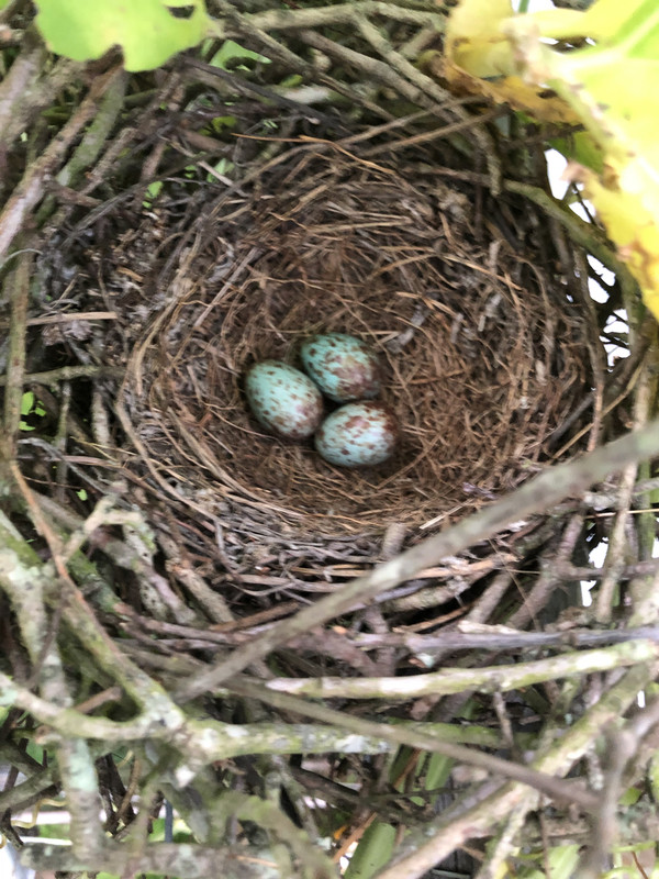 E5E89BB2-09DA-4678-98A2-4B26CFC15C7D