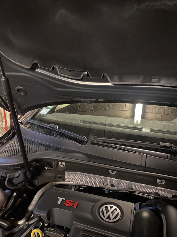 1479CA9D-4A45-4EF8-B889-47E528BF5FEE