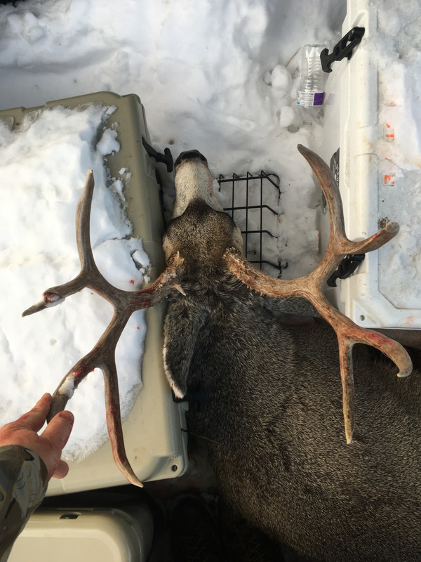 783683D8-2ADD-4149-9B67-92604C99B680