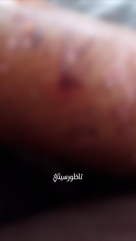ALALI-L-00-17-59-28-Still022
