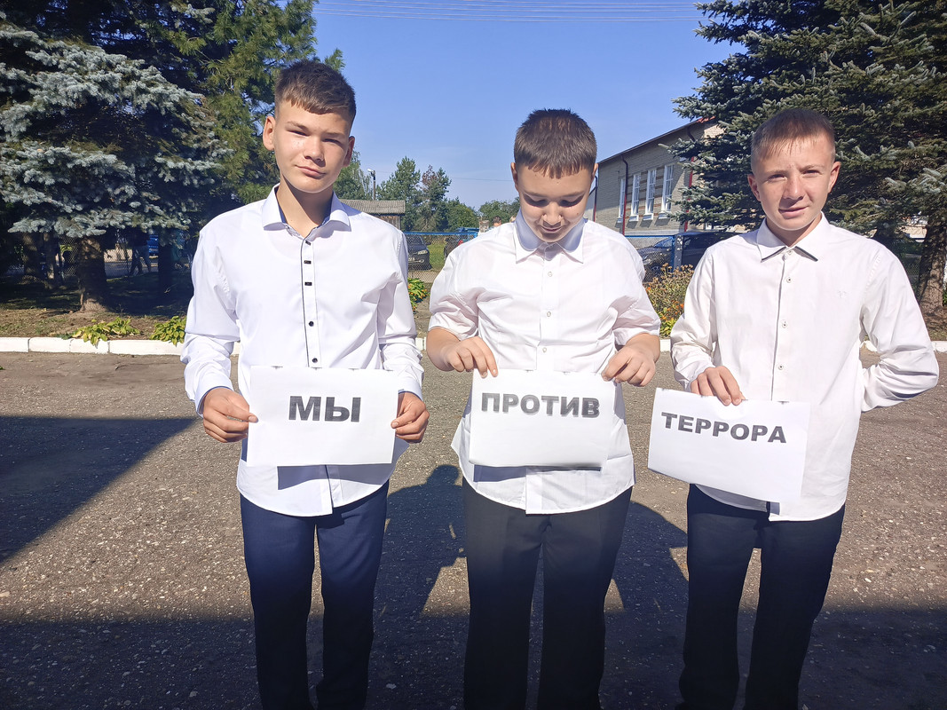 мы притив тер 2024