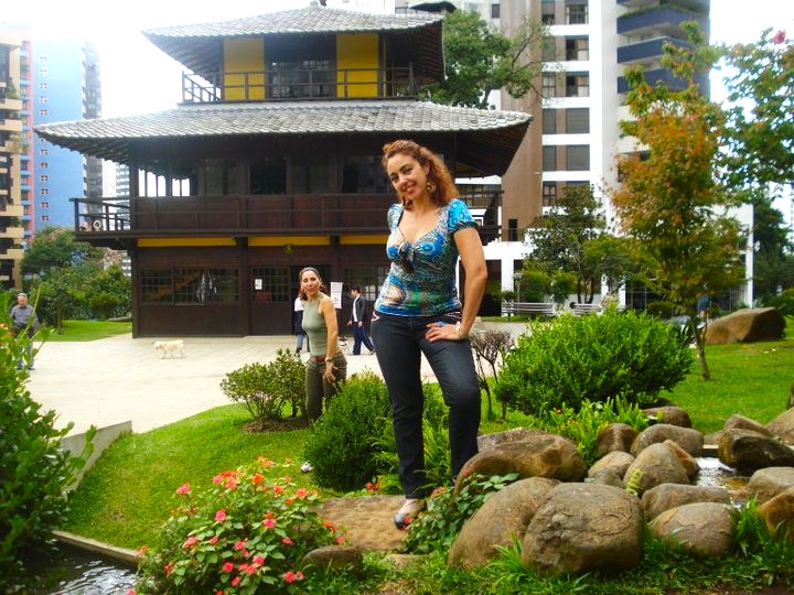 Curitiba-28-2-2010 - Brasil y sus pueblos-2010 (3)
