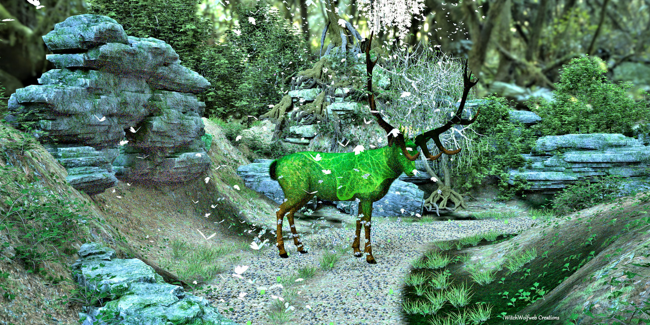 Monarch of the Woods
