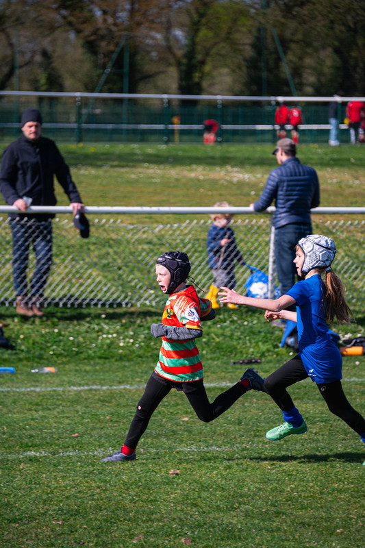 tournoi-de-latlantique-2026-adonis-griffon-175-55181539769-l