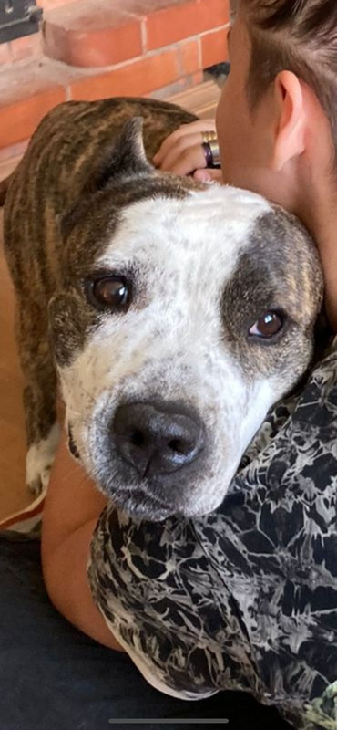 750B1D17-E36A-4BC9-B5D0-B07D62668819