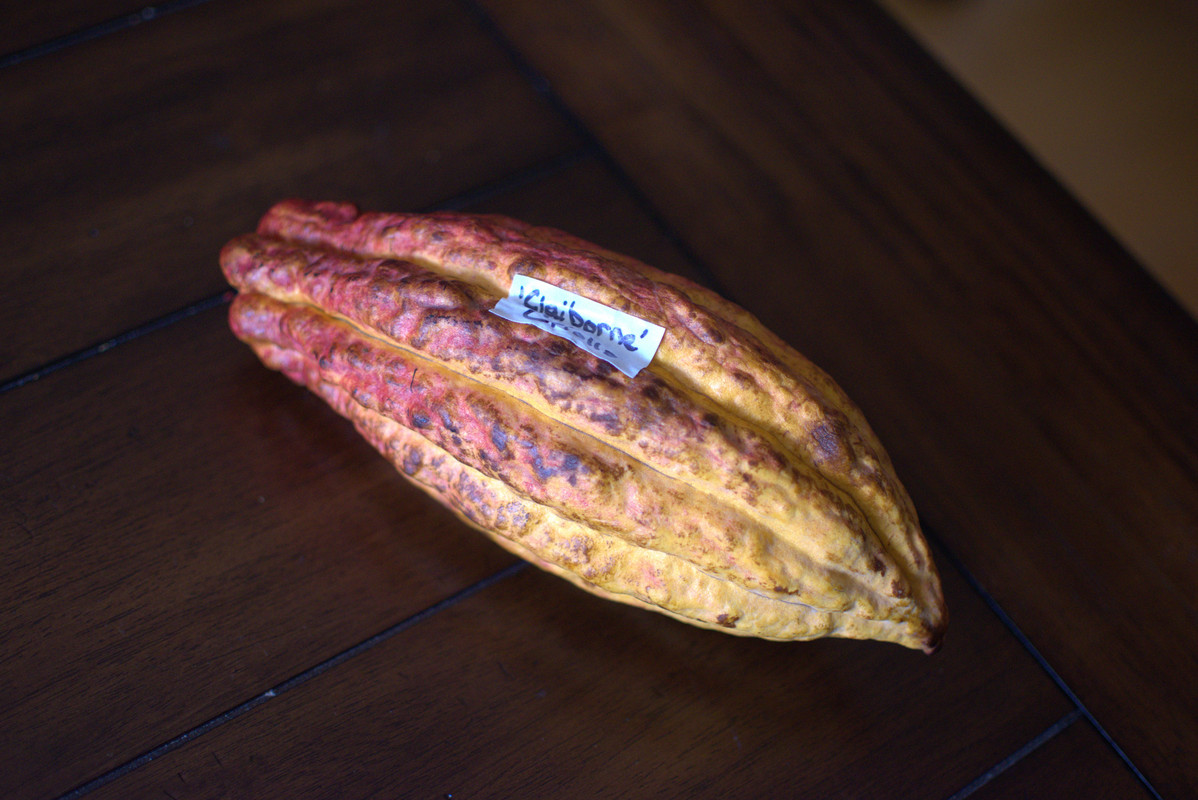 E8721023-6449-44BA-BAA0-D76221B44F1E