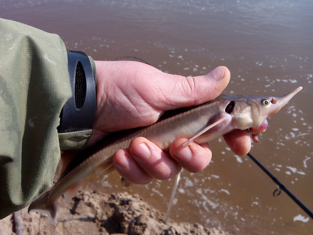 Добрянка 03.05.14.02