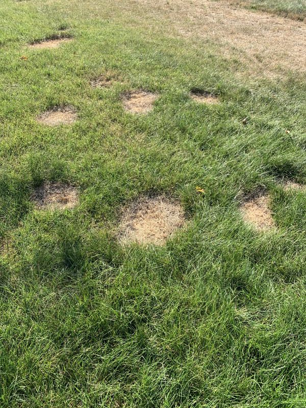 04C3B910-85E8-4C75-BB82-08EDBCEB3300