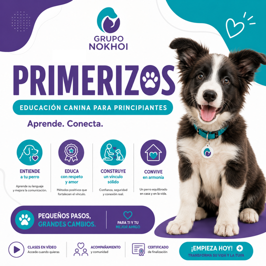 Curso Primerizos