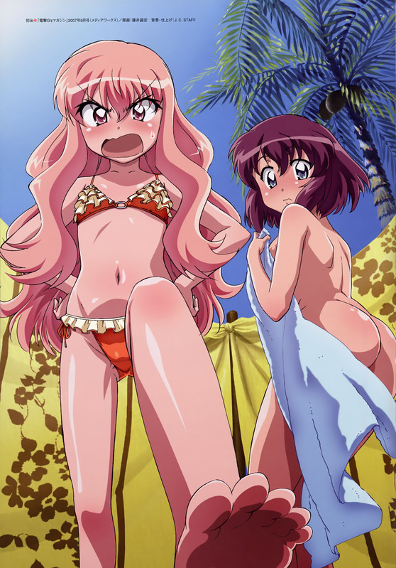 louise francoise le blanc de la valliere and henrietta de tristain zero no tsukaima and 1 more dra